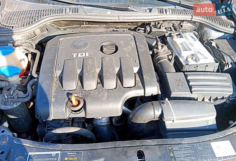 Ліфтбек Skoda Octavia 2008 в Компаніївці