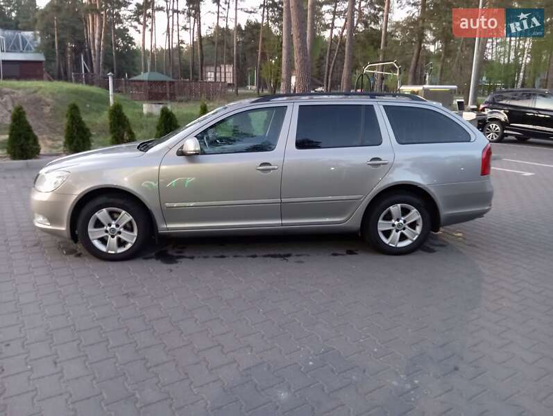 Универсал Skoda Octavia 2010 в Маневичах