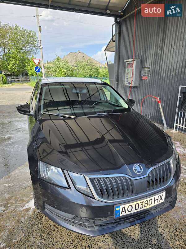Ліфтбек Skoda Octavia 2019 в Ужгороді