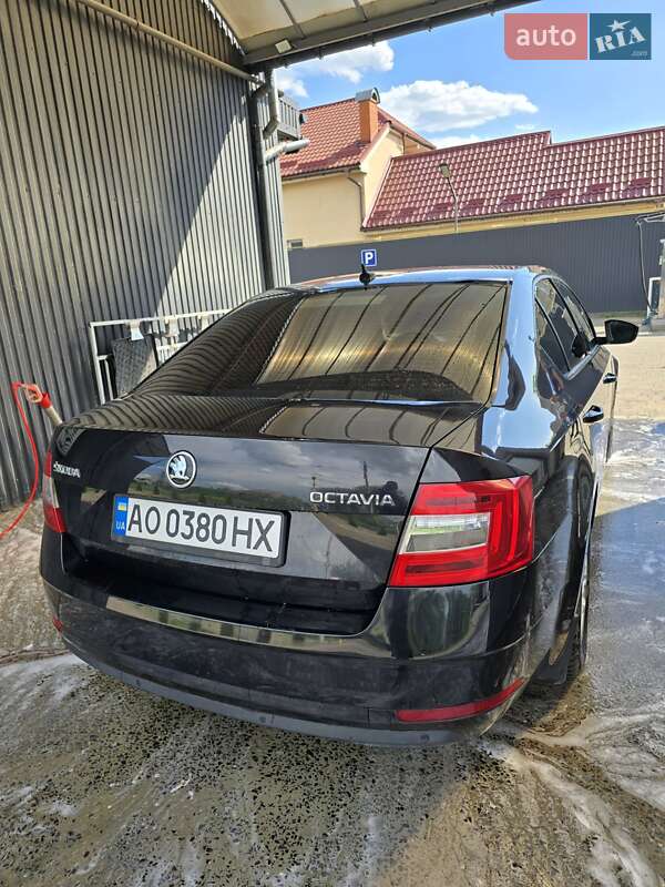 Ліфтбек Skoda Octavia 2019 в Ужгороді