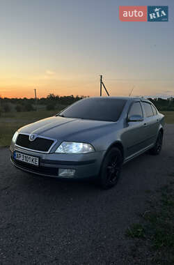 Лифтбек Skoda Octavia 2004 в Покровском