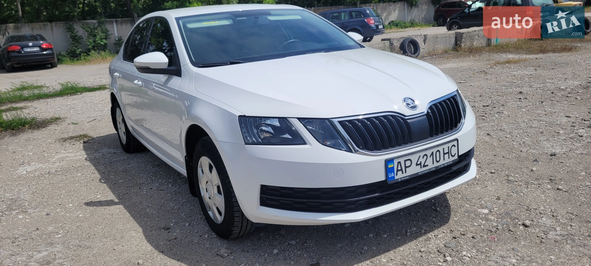 2019 Skoda Octavia - мініатюра 10