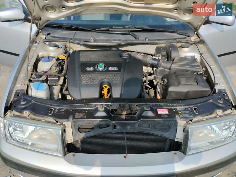 Універсал Skoda Octavia 2002 в Чечельнику