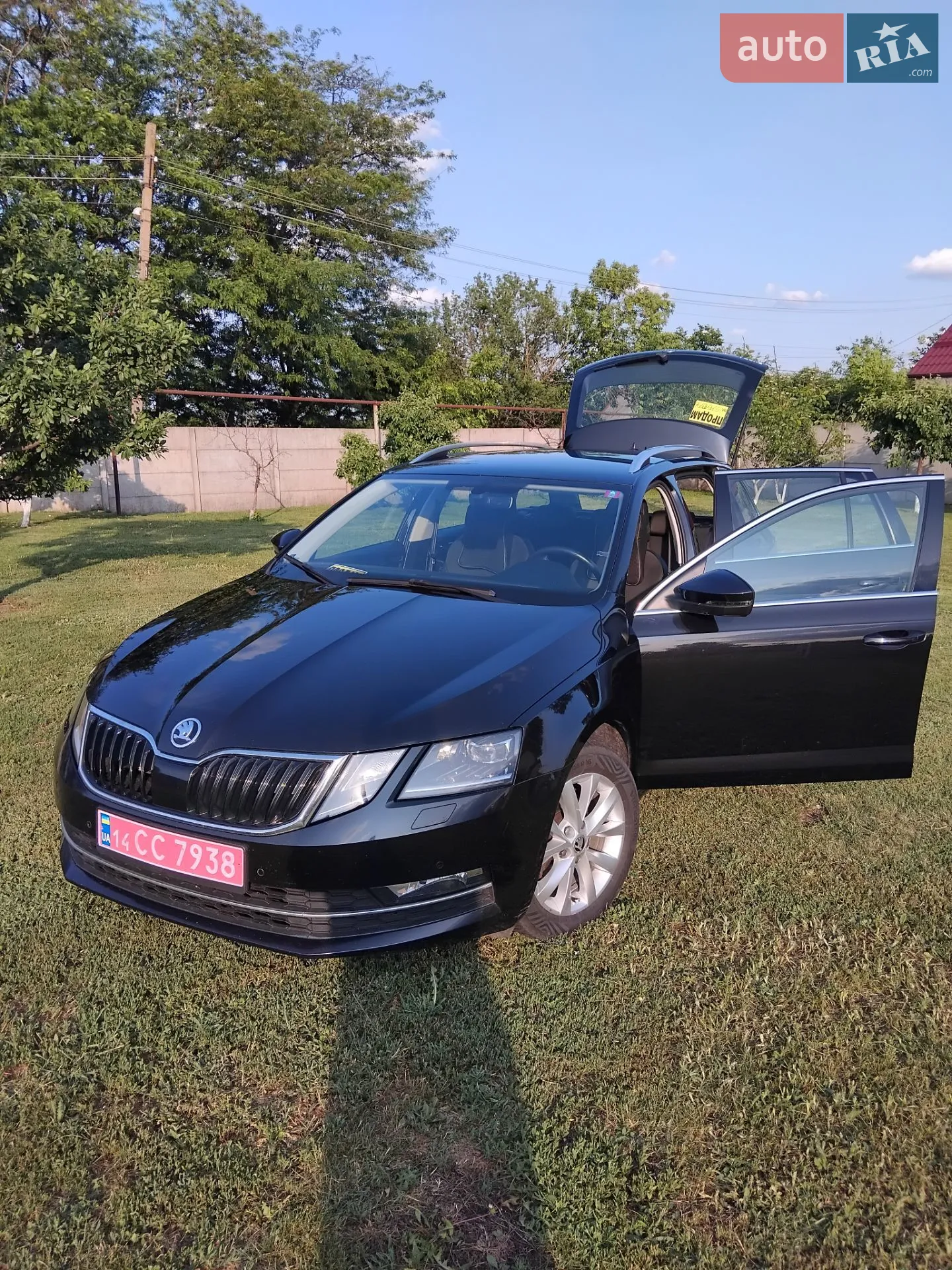 2019 Skoda Octavia - фото 1