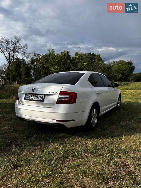 Лифтбек Skoda Octavia 2019 в Балаклее