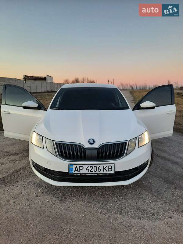 Лифтбек Skoda Octavia 2017 в Запорожье фото 8 Лифтбек Skoda Octavia 2017 в Запорожье