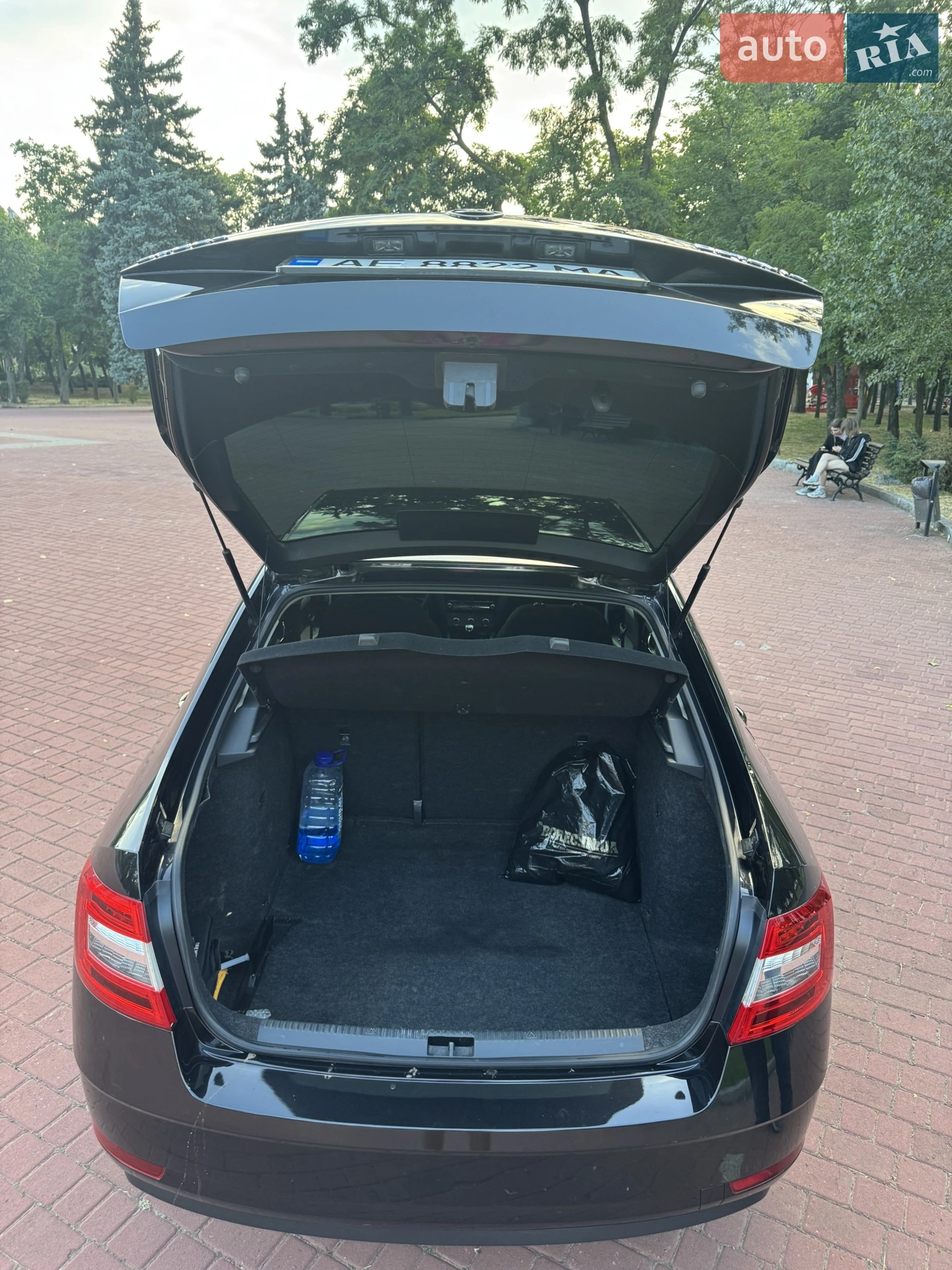 2019 Skoda Octavia - мініатюра 3