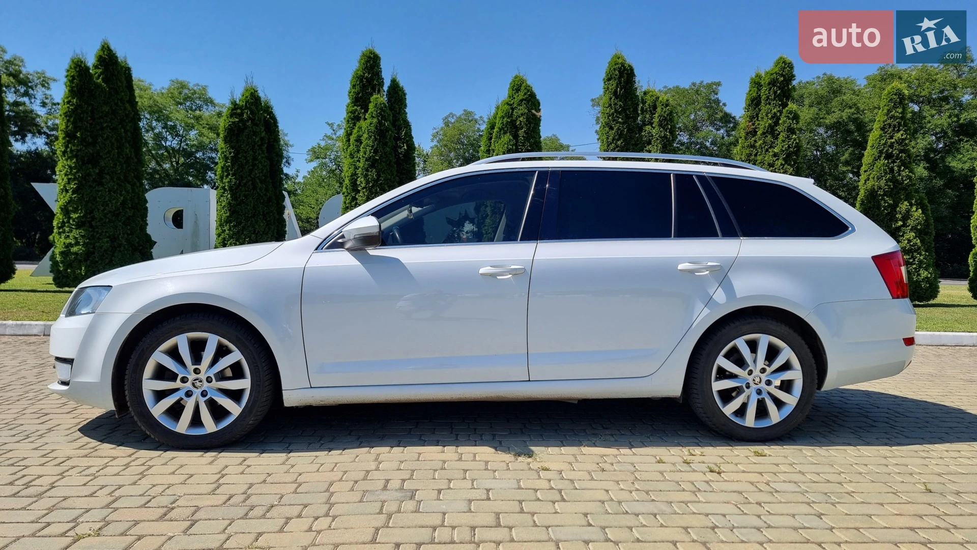 2016 Skoda Octavia - мініатюра 3