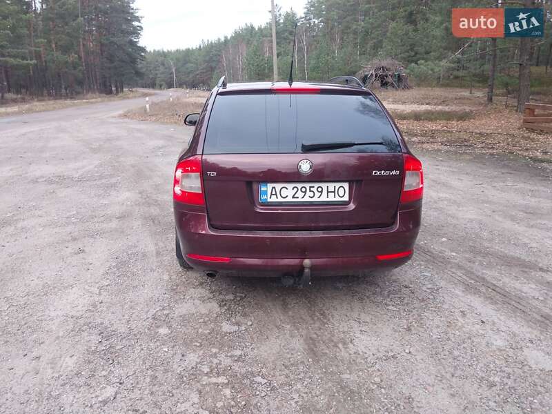 Универсал Skoda Octavia 2010 в Маневичах