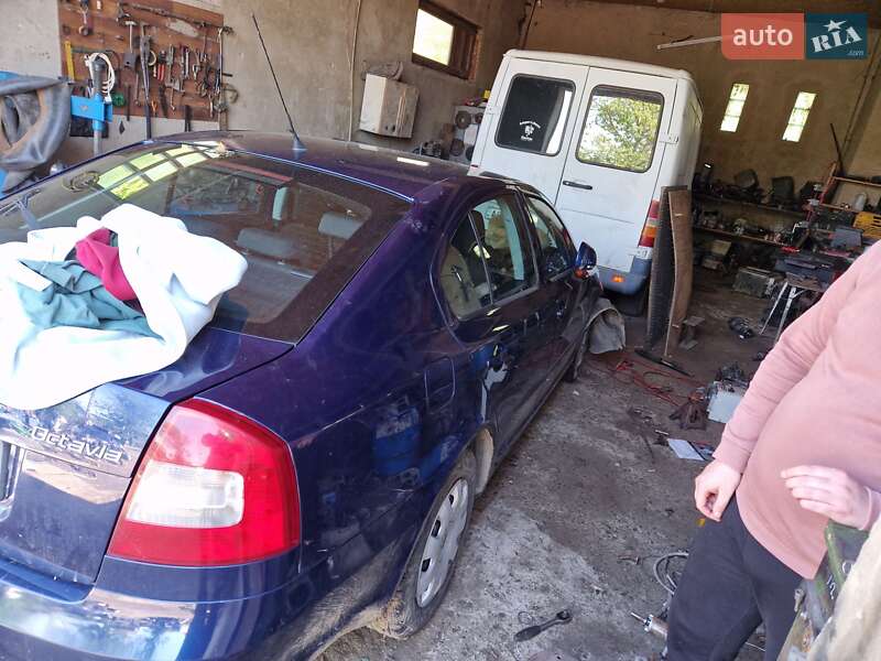 Лифтбек Skoda Octavia 2010 в Тячеве