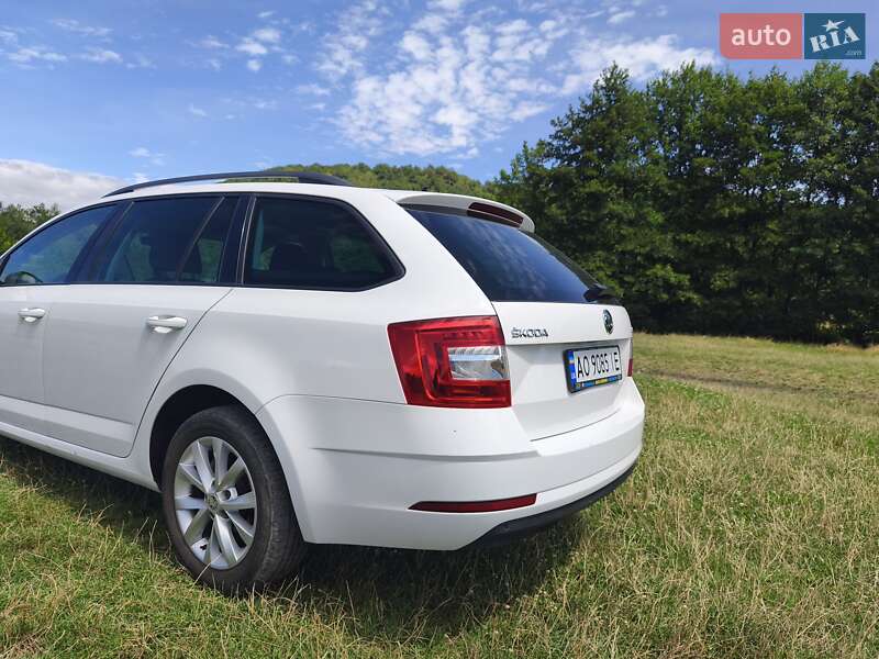Универсал Skoda Octavia 2019 в Ужгороде