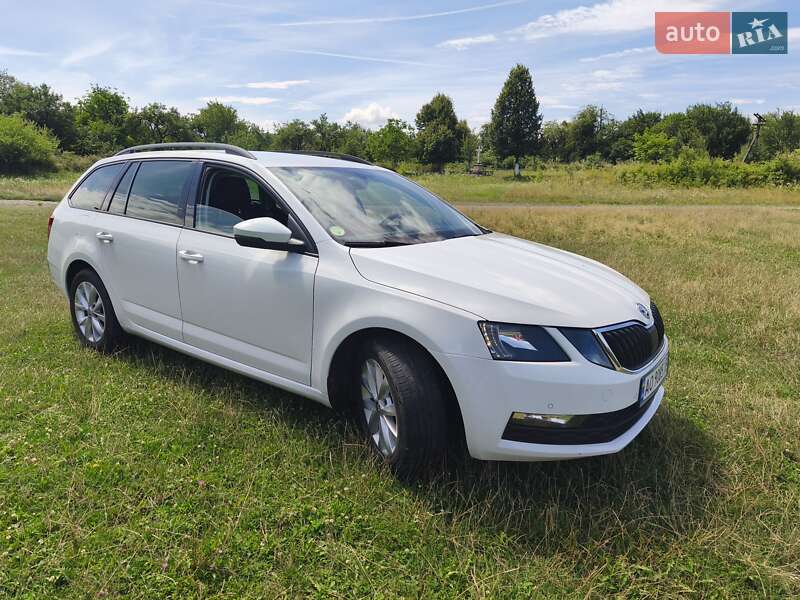 Универсал Skoda Octavia 2019 в Ужгороде