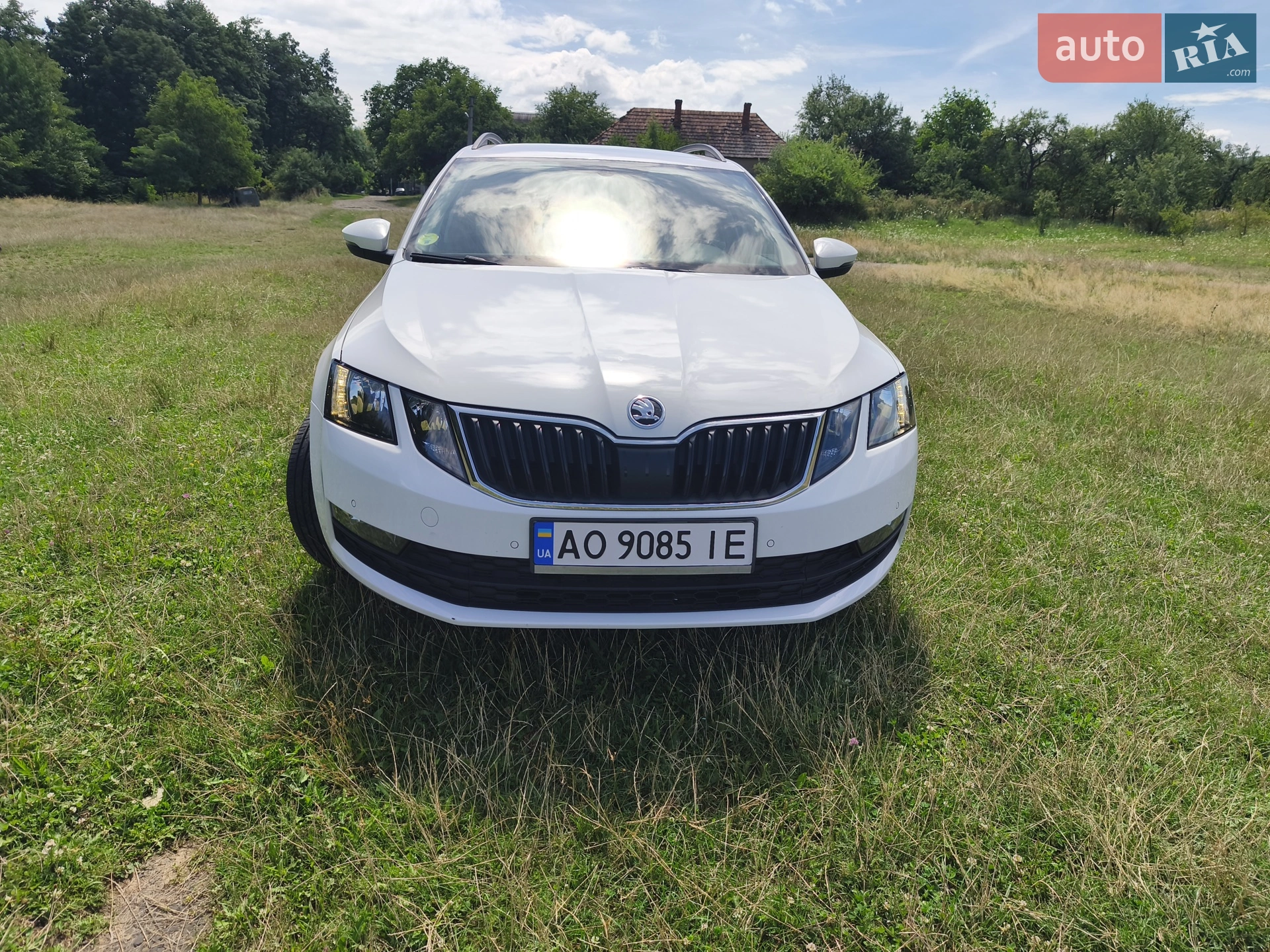 2019 Skoda Octavia - мініатюра 11