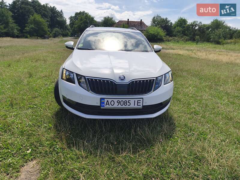 Универсал Skoda Octavia 2019 в Ужгороде