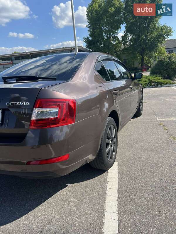 Лифтбек Skoda Octavia 2014 в Кропивницком