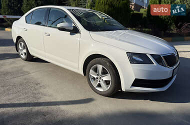 Лифтбек Skoda Octavia 2019 в 