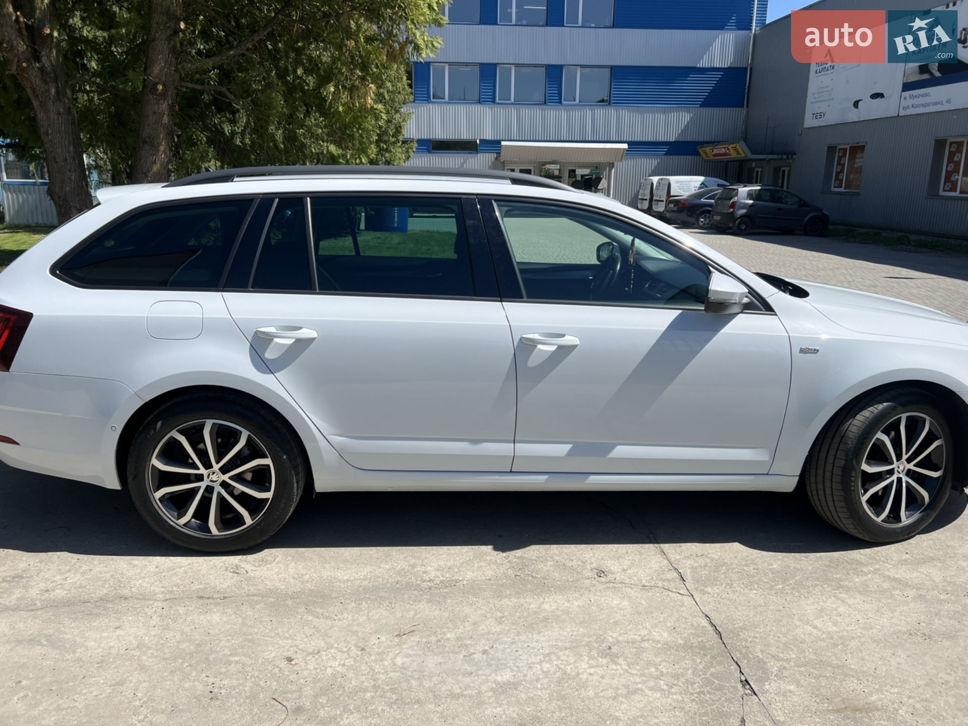 2020 Skoda Octavia - мініатюра 5
