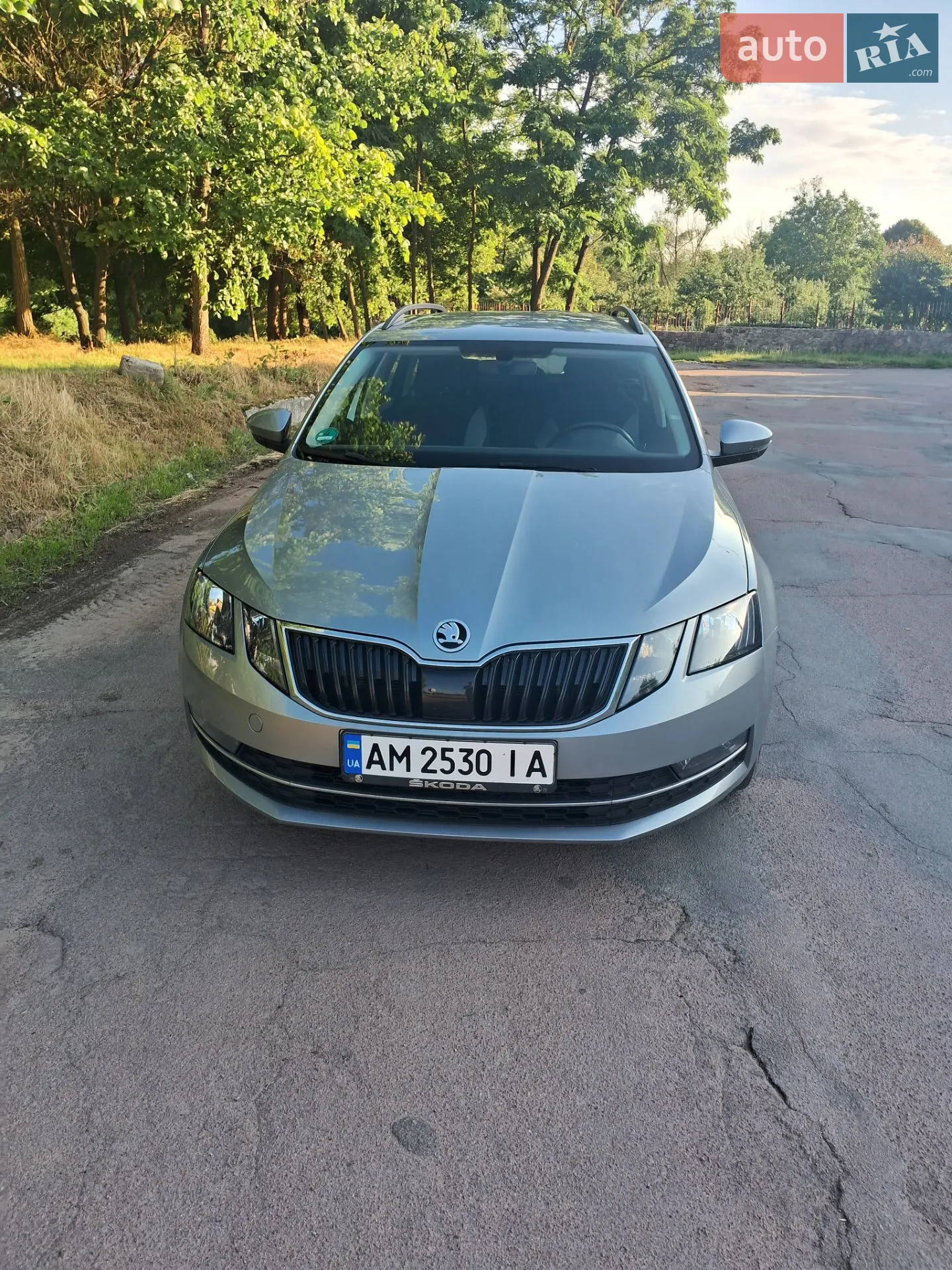2019 Skoda Octavia - мініатюра 8