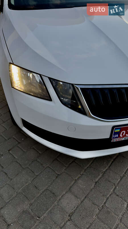 Лифтбек Skoda Octavia 2019 в Шепетовке