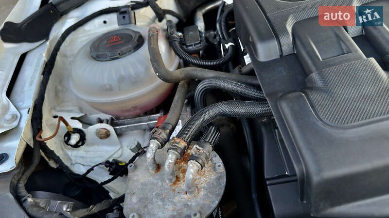 Лифтбек Skoda Octavia 2019 в Шепетовке