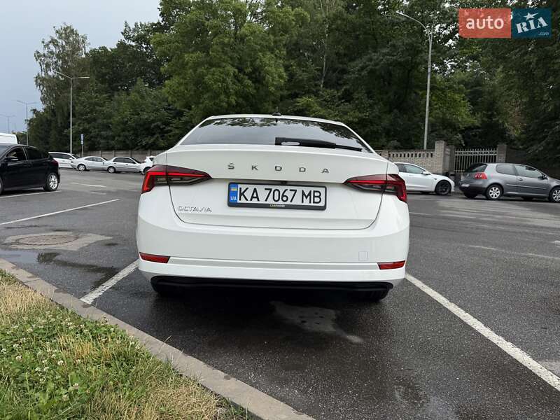 Лифтбек Skoda Octavia 2020 в Песчанке фото 20 Лифтбек Skoda Octavia 2020 в Песчанке