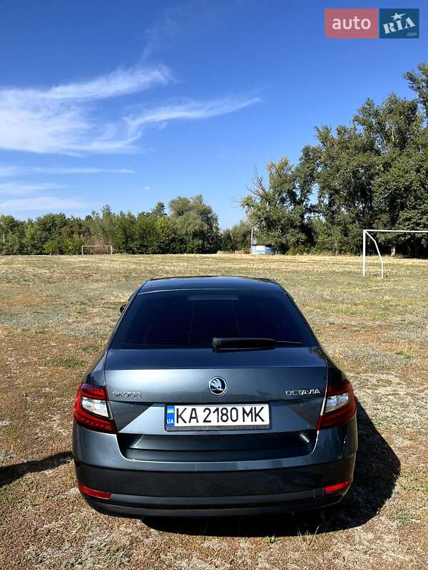 Лифтбек Skoda Octavia 2019 в Смеле фото 2 Лифтбек Skoda Octavia 2019 в Смеле