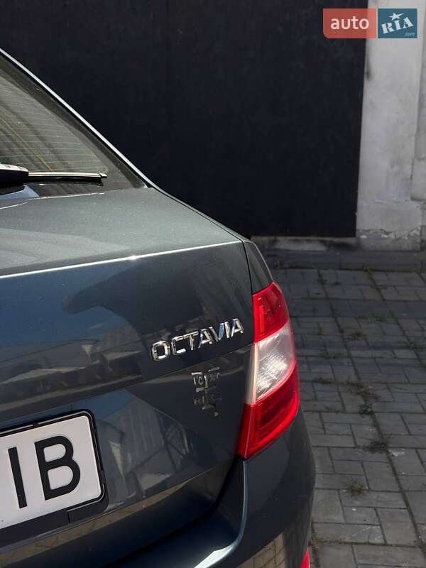 Лифтбек Skoda Octavia 2016 в Белой Церкви фото 37 Лифтбек Skoda Octavia 2016 в Белой Церкви