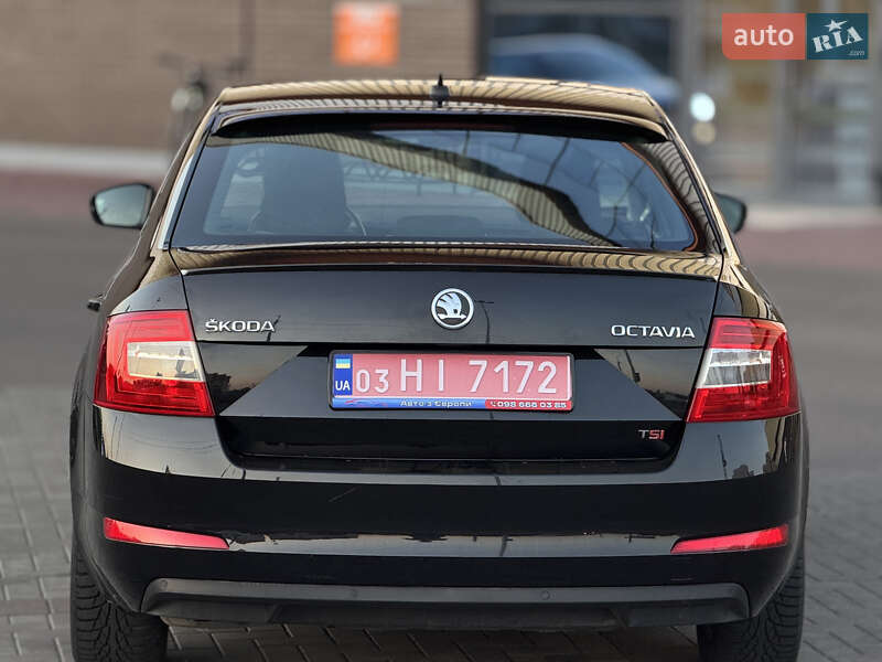 Лифтбек Skoda Octavia 2013 в Луцке фото 12 Лифтбек Skoda Octavia 2013 в Луцке