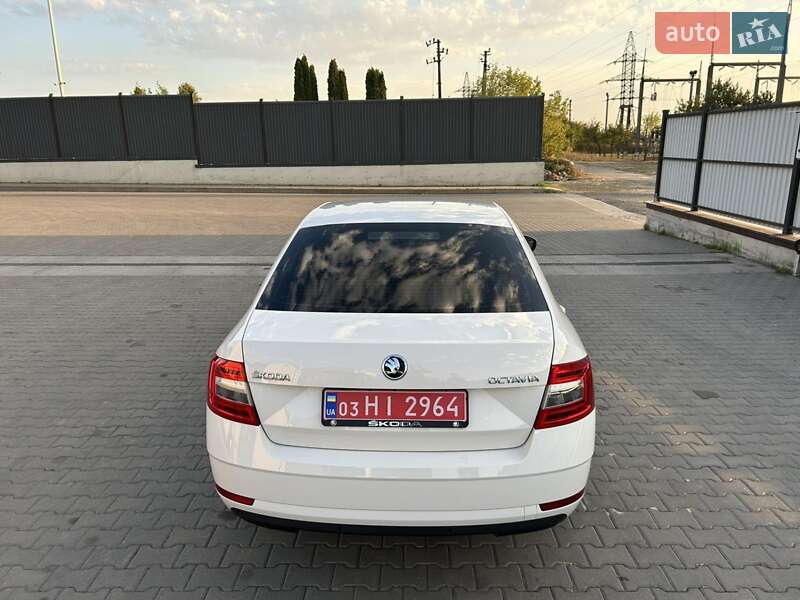 Лифтбек Skoda Octavia 2019 в Луцке