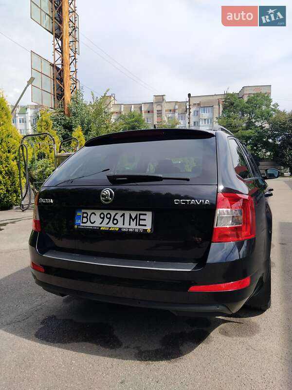 Універсал Skoda Octavia 2015 в Шептицькому
