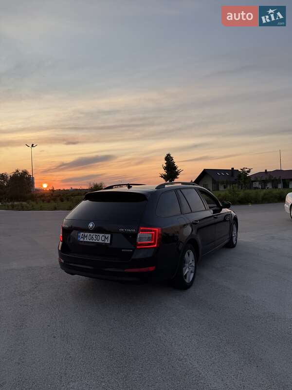 Универсал Skoda Octavia 2014 в Коростене