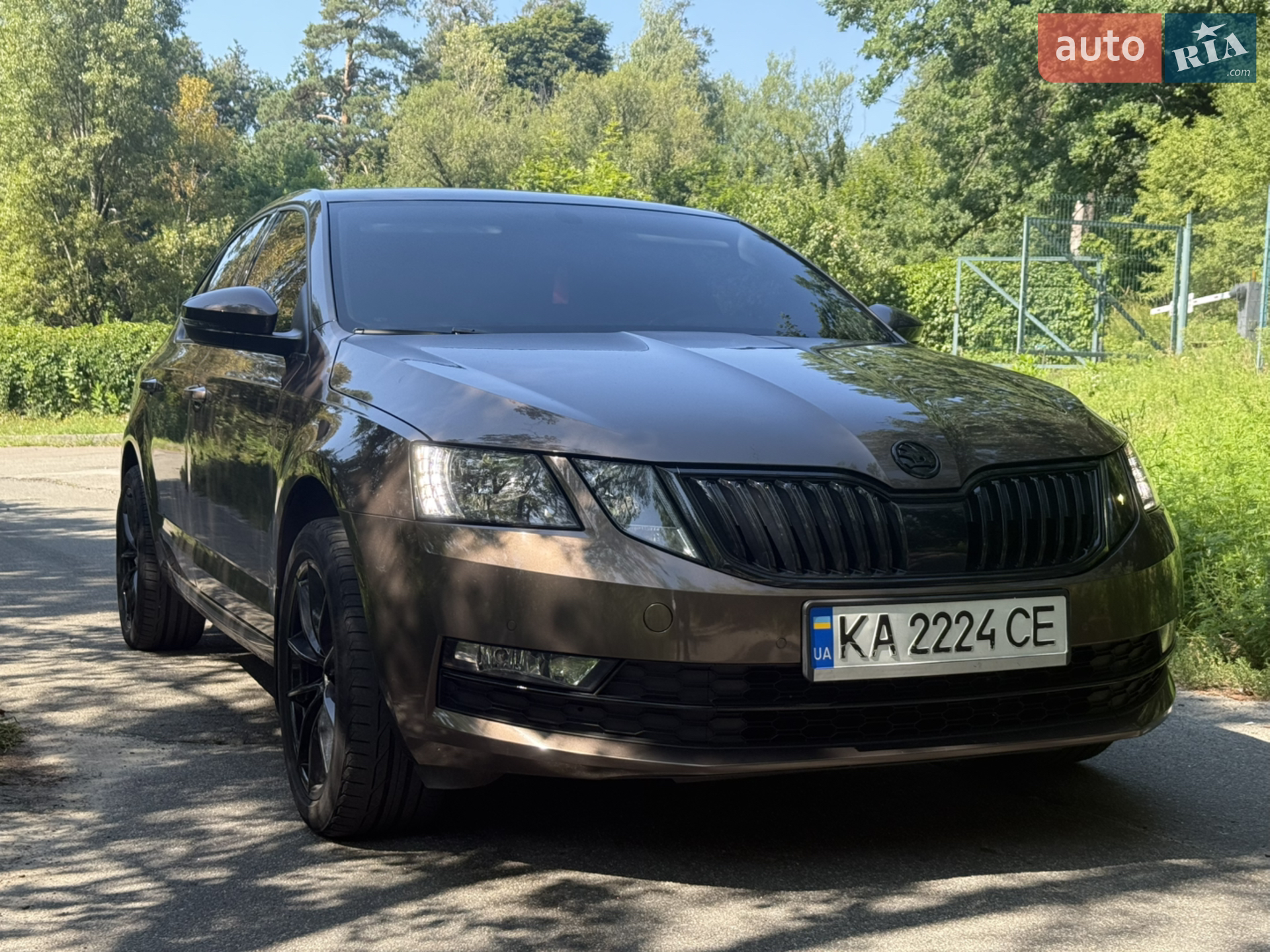 2018 Skoda Octavia - мініатюра 2