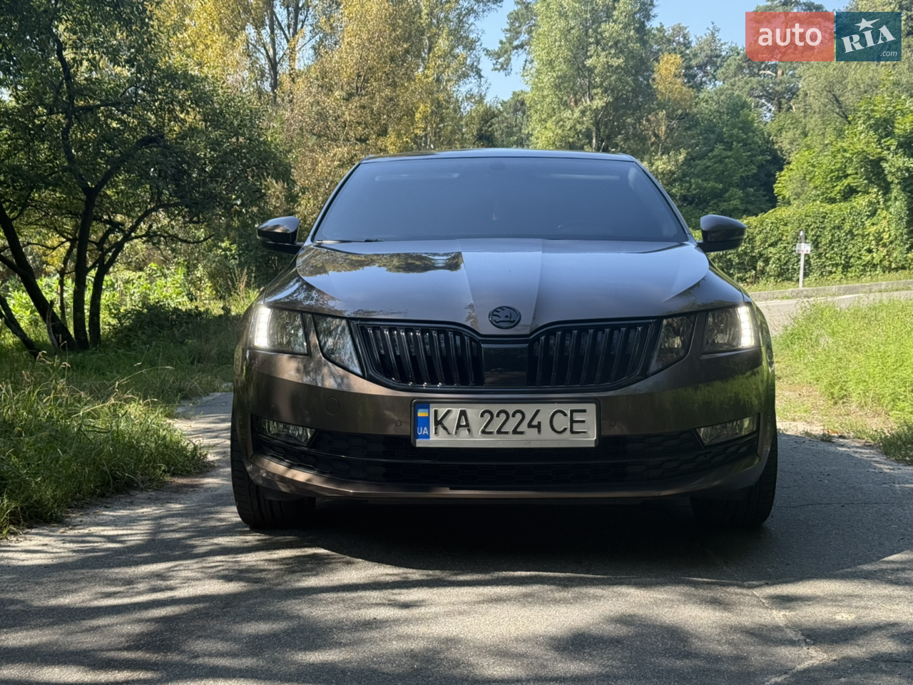 2019 Skoda Octavia - мініатюра 61