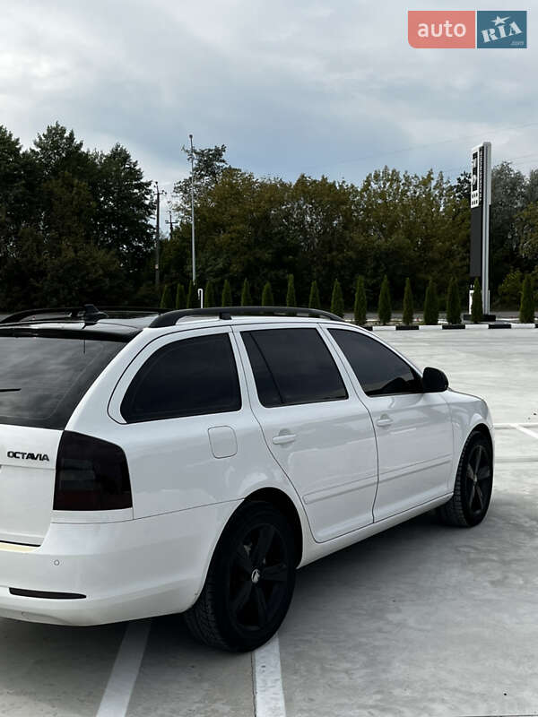 Универсал Skoda Octavia 2010 в Звягеле
