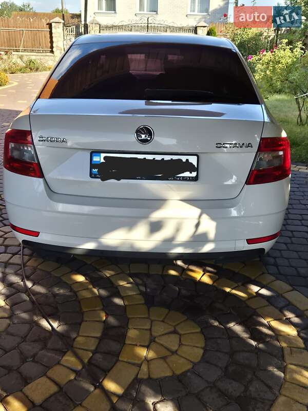 Ліфтбек Skoda Octavia 2017 в Луцьку фото 16 Ліфтбек Skoda Octavia 2017 в Луцьку