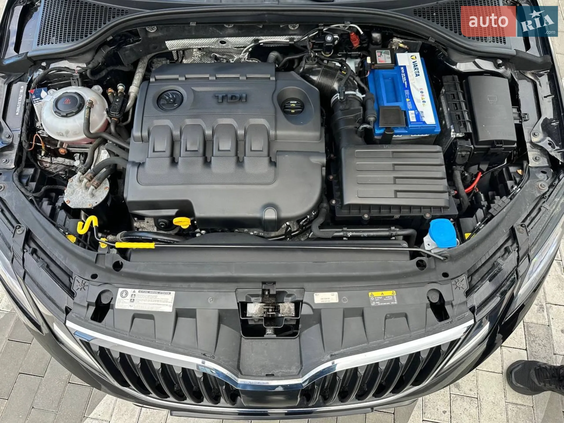 2017 Skoda Octavia - мініатюра 40