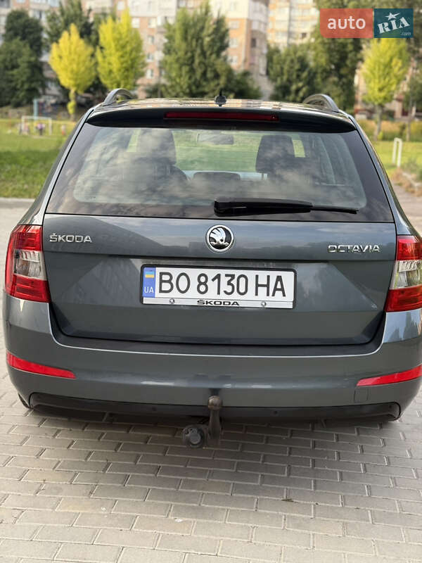 Универсал Skoda Octavia 2015 в Тернополе