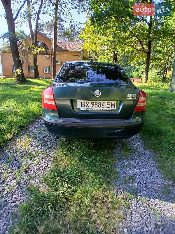 Лифтбек Skoda Octavia 2005 в Шепетовке