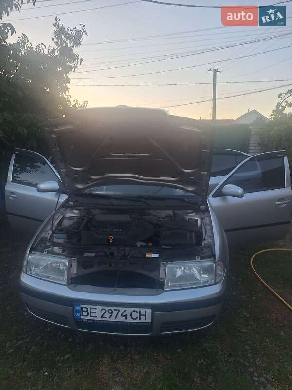 Лифтбек Skoda Octavia 2006 в Кривом Озере