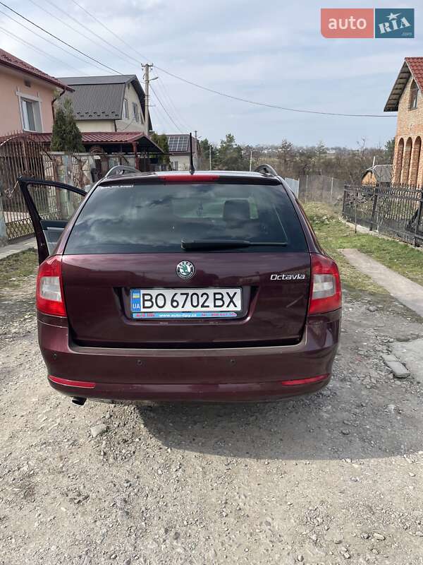 Универсал Skoda Octavia 2013 в Тернополе