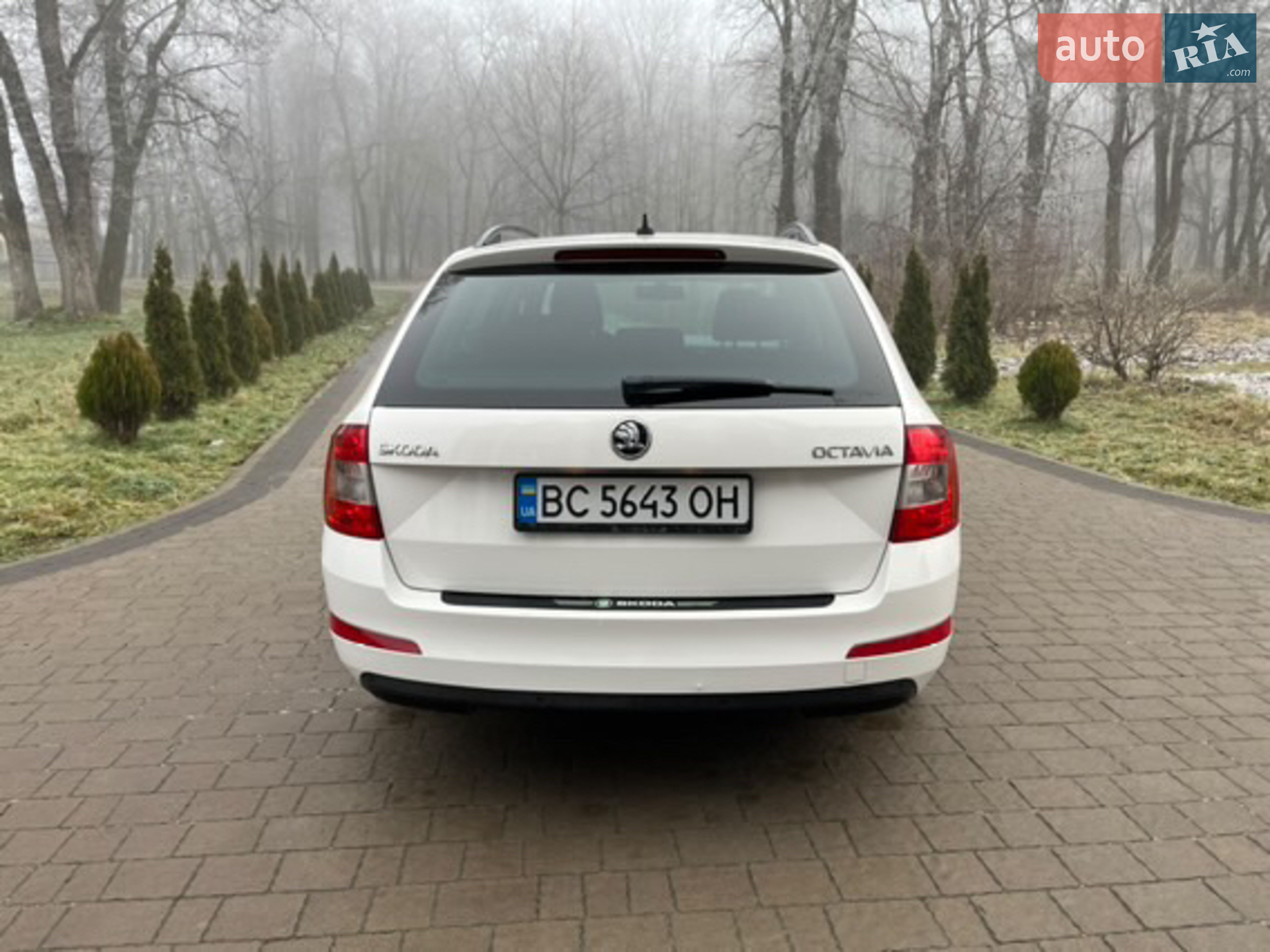 2015 Skoda Octavia - мініатюра 7