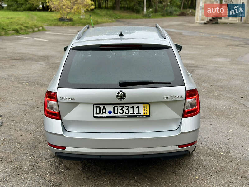 Универсал Skoda Octavia 2019 в Ивано-Франковске