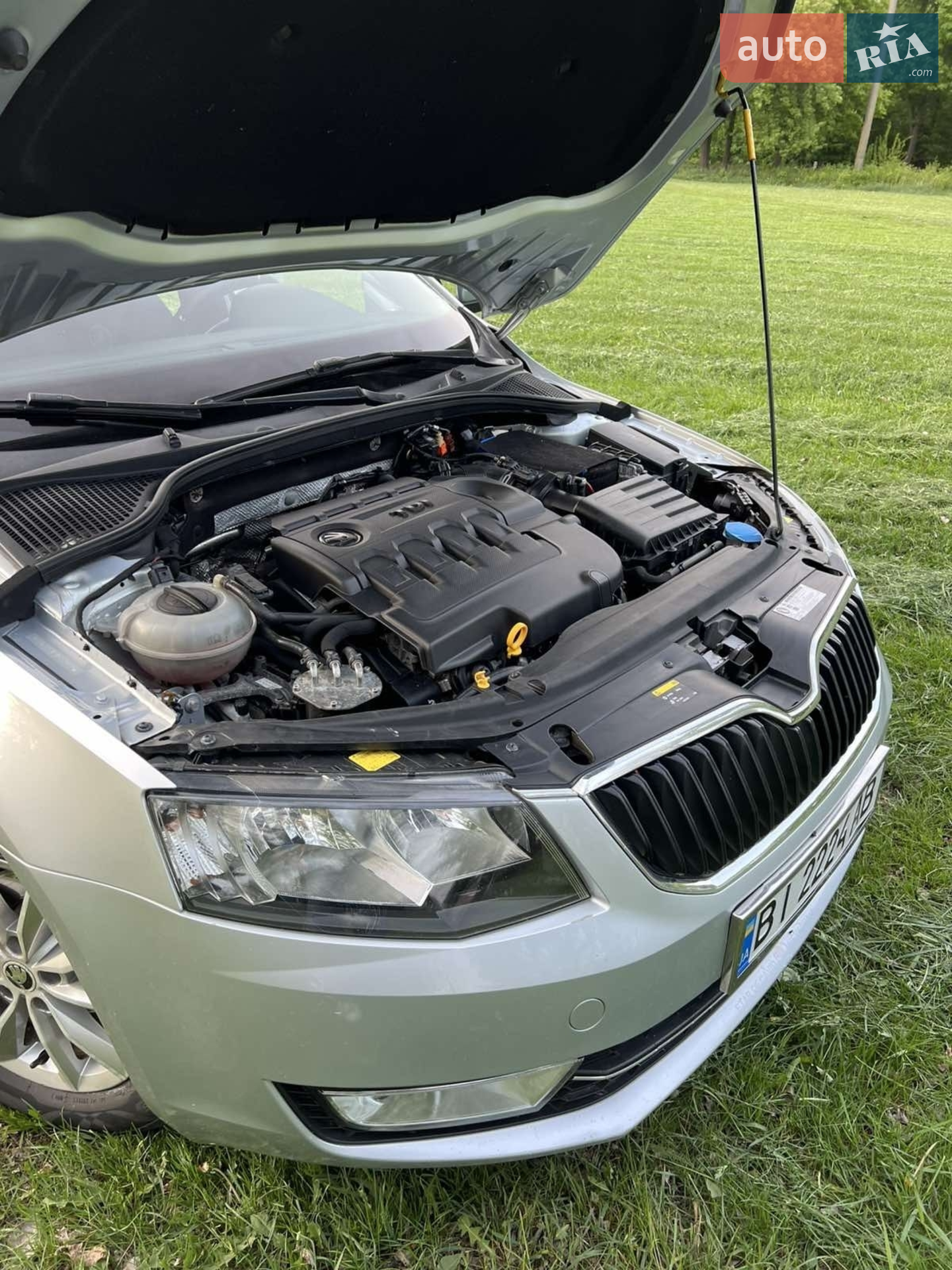 2015 Skoda Octavia - мініатюра 13