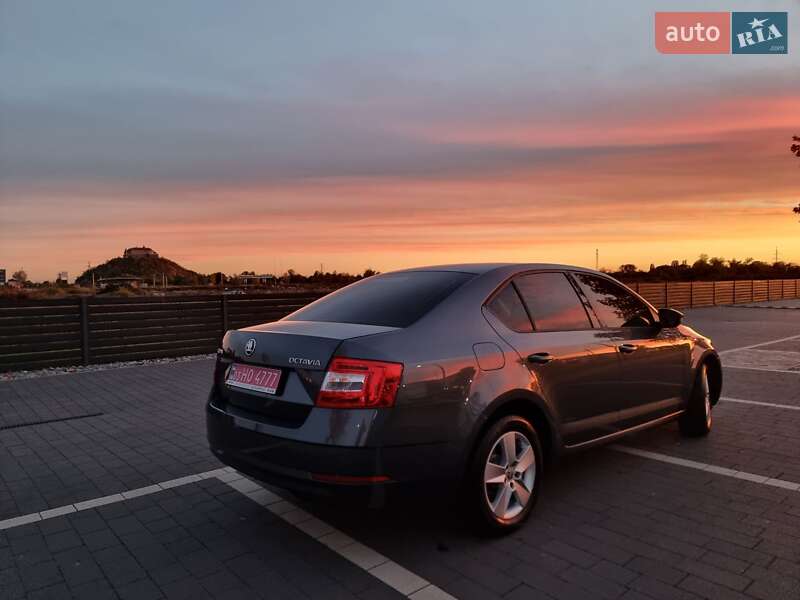 Лифтбек Skoda Octavia 2017 в Мукачево