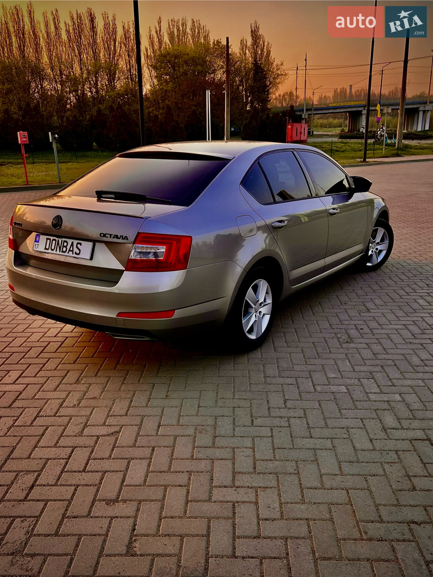 2013 Skoda Octavia - мініатюра 9