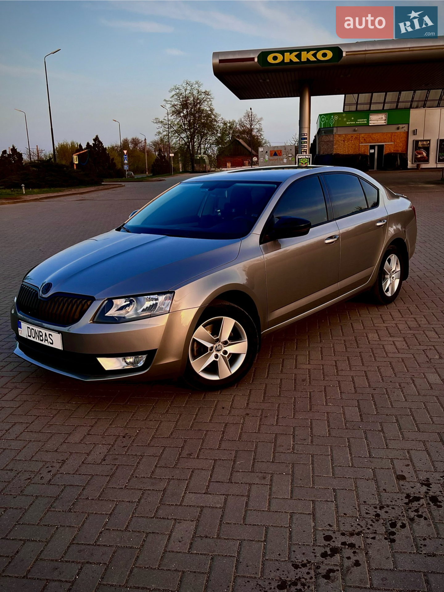 2013 Skoda Octavia - мініатюра 12