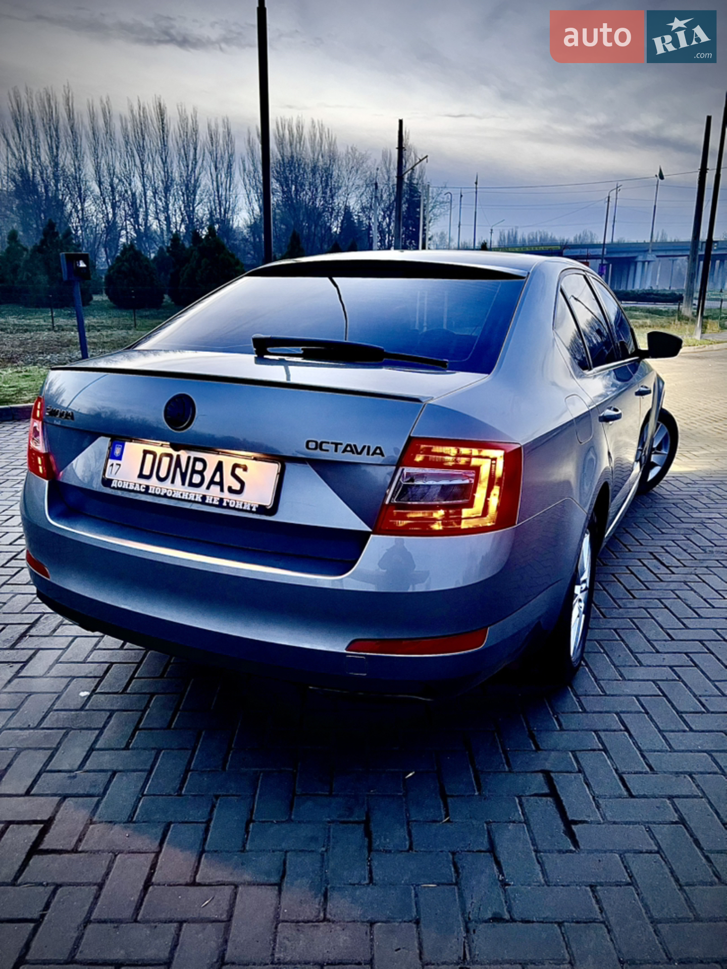 2013 Skoda Octavia - мініатюра 16