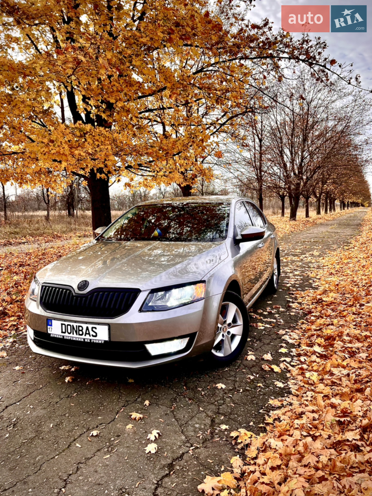 2013 Skoda Octavia - мініатюра 17