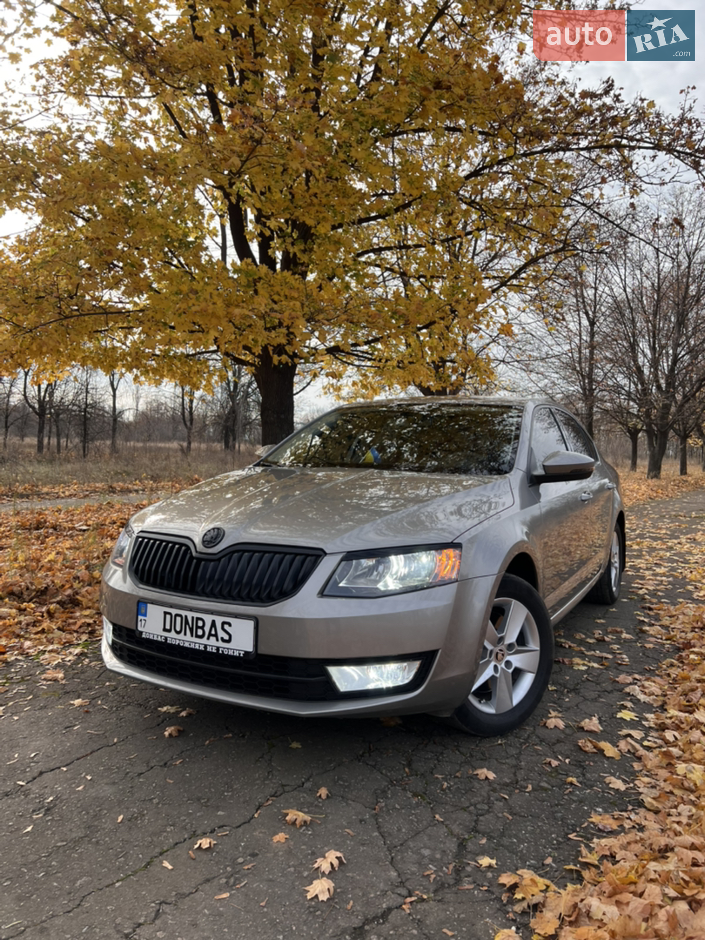 2013 Skoda Octavia - мініатюра 18