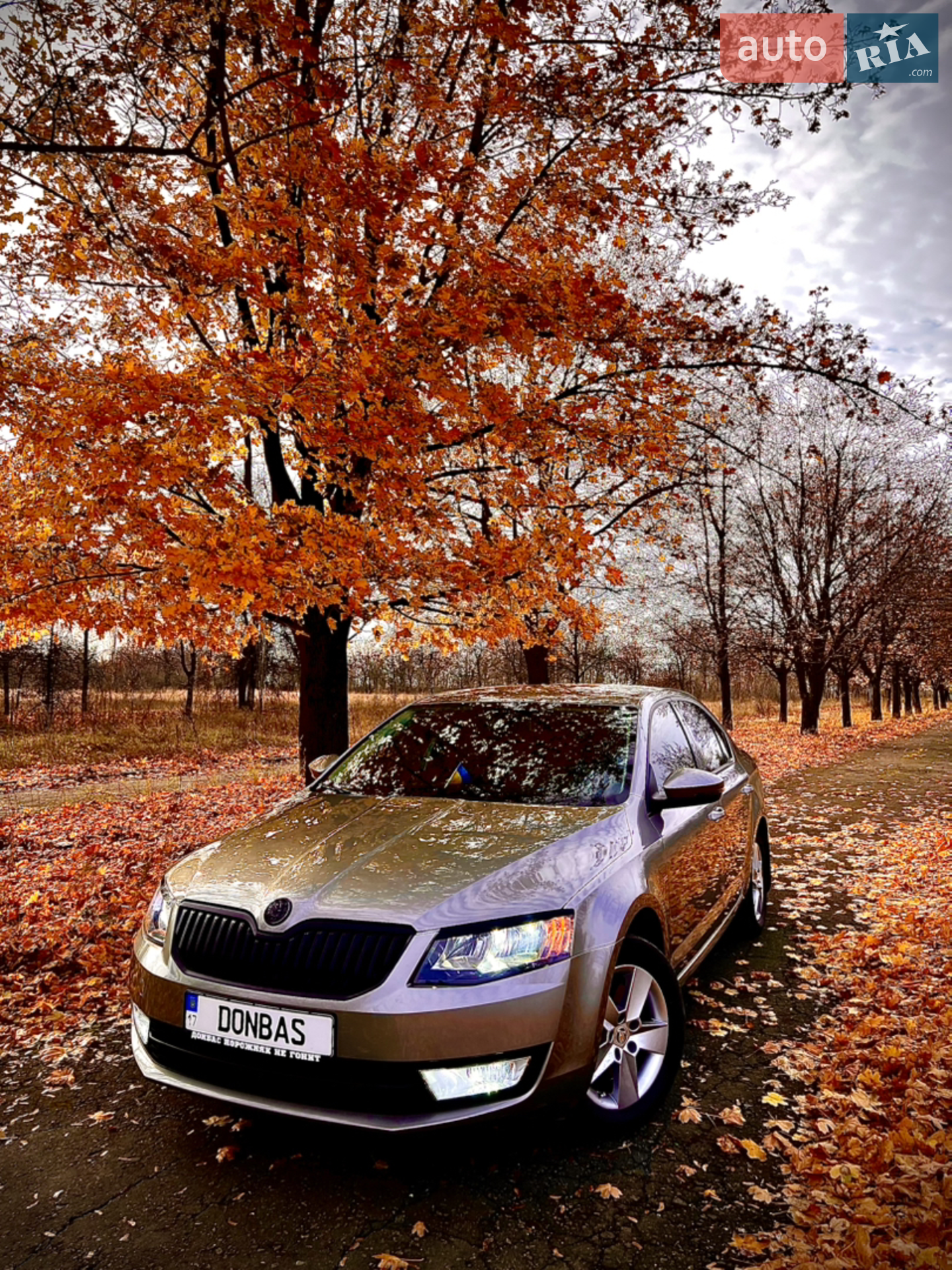 2013 Skoda Octavia - мініатюра 19